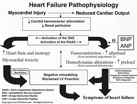 Congestive Heart Failure Systolic Topic Review Learntheheart