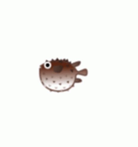 Puffer Fish Blink GIF - PufferFish Fish Blink - Discover & Share GIFs