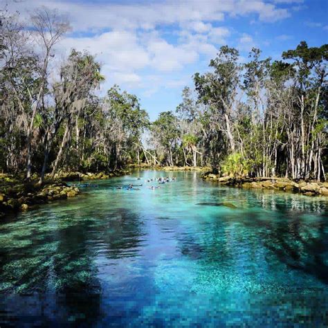 Crystal River Wildlife Refuge @travelingjones | Places.Travel