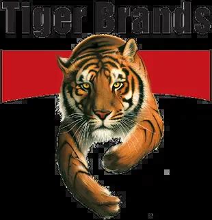 Tiger Brands Internship Programme 24 7 CAREERS