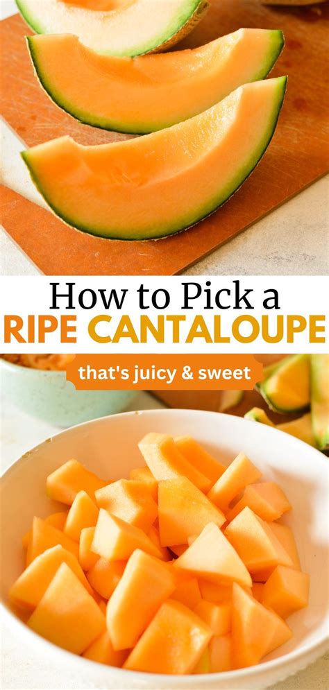 how to find good cantaloupe