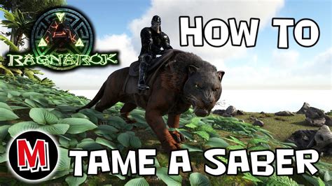 Ark Ragnarok How To Tame A Sabertooth Youtube