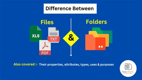 Difference Between File And Folder Learn Computer Science