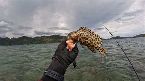 KASAR KASAR KASAR KERAPU KASAR Air Jernih Ikan Pun Berlimpah Surganya