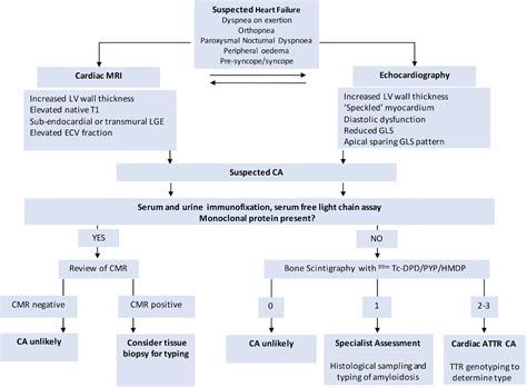 Cardiac Amyloidosis Algorithm