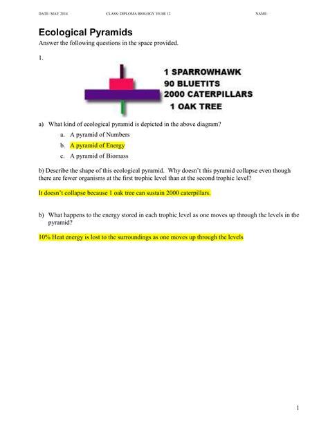 Answers To Ecological Pyramid 10