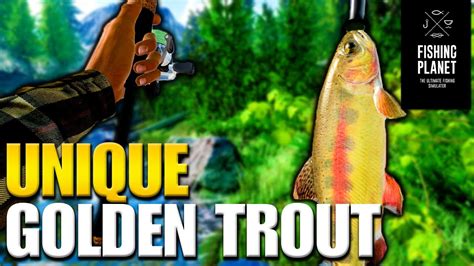 Rocky Lake Unique Colorado Golden Trout Hotspot Guide Fishing Planet