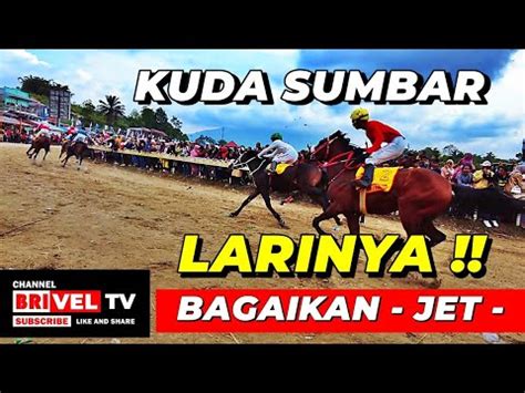 Kuda Sumbar Lari Bagaikan Jet Pacu Kuda Walikota Bupati Di