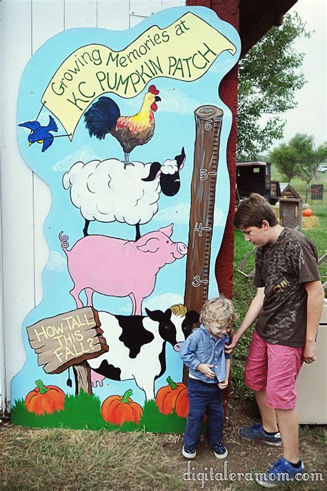 It S The Great Pumpkin Kansas City Mama Plus One Pumpkin Patch