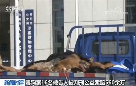 特大毒狗案宣判 16人被判刑！毒狗针几秒钟可致成年人丧命