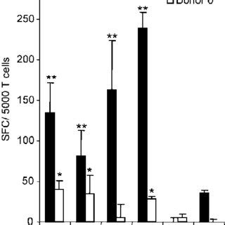 Comparison Of Peripheral Blood T Cell Responses To Hexon And Pol