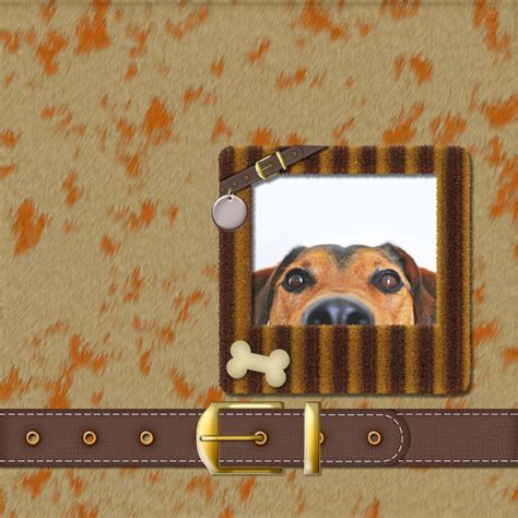 Pets On Parade Quickpage Caroline B Design