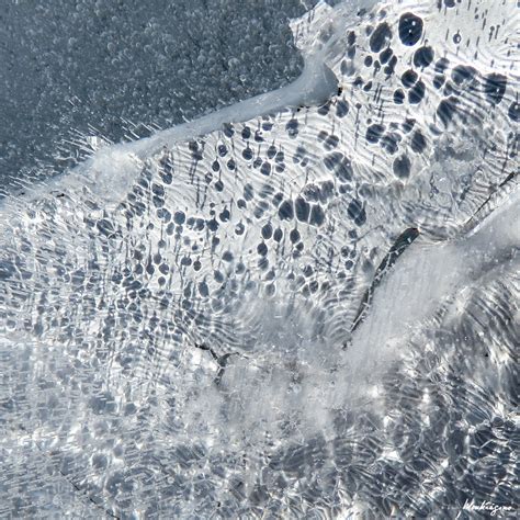 Ice Art - Art de glace | Graphic ice in a puddle - Glace gra… | Flickr