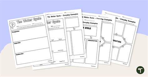 Set Of Graphic Organizers For The Water Cycle Everyday Examples Teach Starter