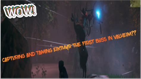 Capturing And Taming Eikthyr The First Boss In Valheim Youtube