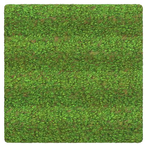 Football Soccer Grass Field With Alternating Bands Free Pbr Texturecan