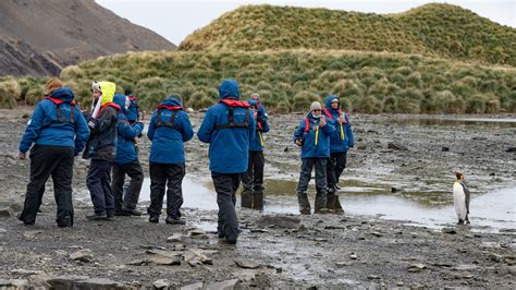 Wildlife Viewing in Antarctica: Ensuring Respectful Encounters ...