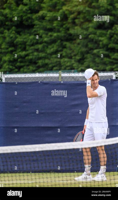 Sir Andy Murray Fotos Und Bildmaterial In Hoher Auflösung Alamy