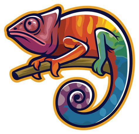 Chameleon Illustrations Royalty Free Vector Graphics And Clip Art Istock