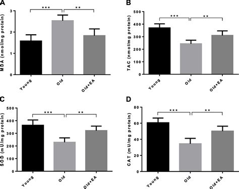 Effect Of Ellagic Acid Ea On Renal Level Of A Malondialdehyde Mda