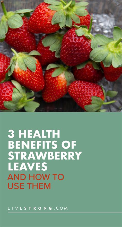 Strawberryy20: The Amazing Benefits Of Strawberryy20