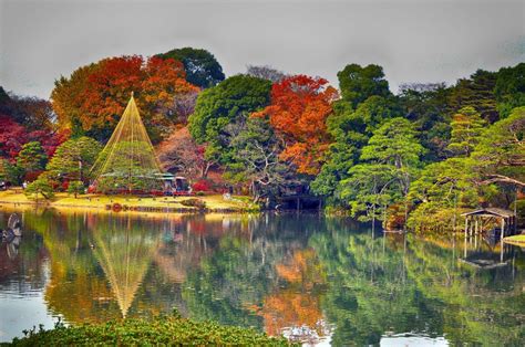 Tokio Visita Guiada Privada De D A Completo Al Jard N Japon S