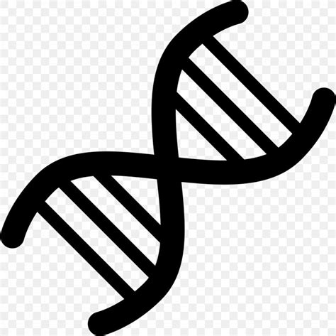 Genetics Dna Vector Png X Px Gene Biology Black And White