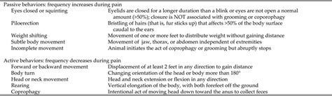 Building On A Previously Published Ethogram For Postoperative Guinea