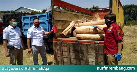 Sempat Melarikan Diri Pelaku Illegal Logging Hutan Di Rembang