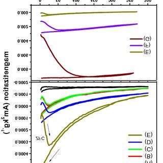 Magnetization Curves At Room Temperature Of Naked Magnetic