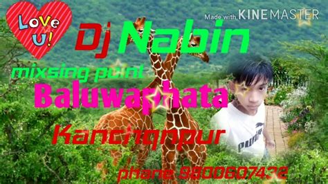 Timro Gharko Woripari Ma Yesto Geet Gauchhu 2 New Dj Naveen