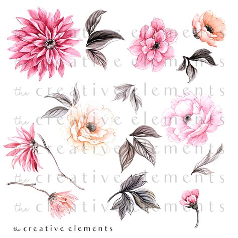 PAINTED PEONIES | The Creative Elements