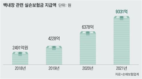 5q경제 文 케어로 보험료 낮아진다던 실손보험은 왜 엉망이 됐나 네이트 뉴스