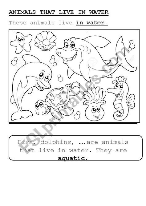 Aquatic Animals Esl Worksheet By Yovily23