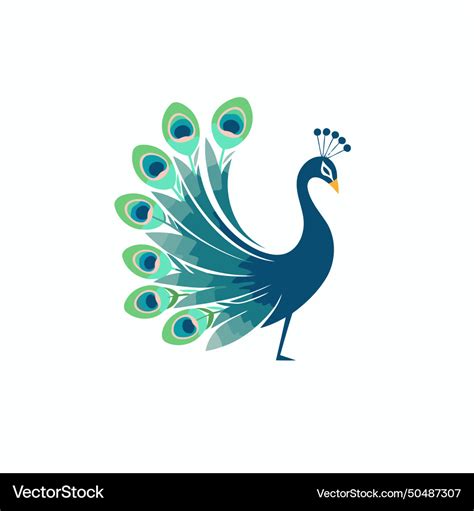 Peacock Logo Design Template Beautiful Royalty Free Vector