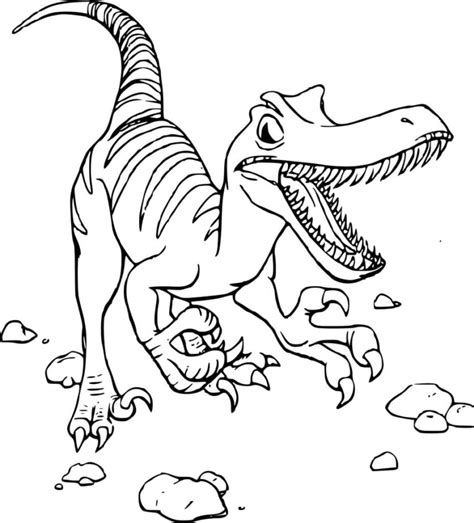 Desenhos Do Velociraptor Para Colorir