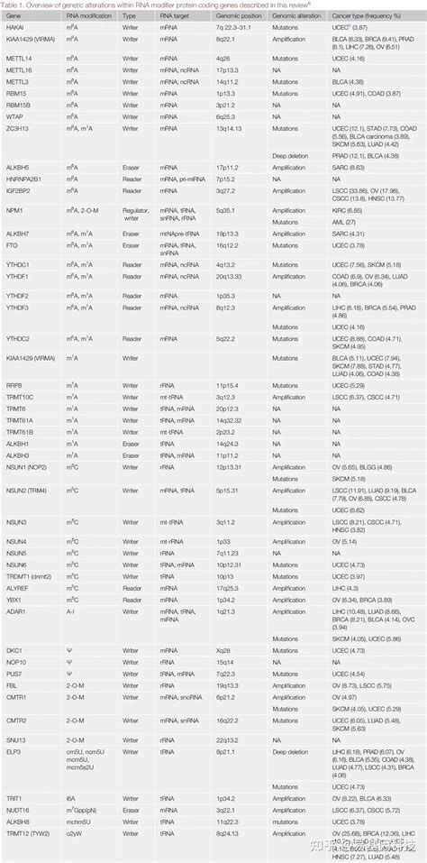 易基因｜深度综述：癌症中rna修饰机制的遗传和表观遗传失调（m6am1am5cψ）adar3 脑 Csdn博客