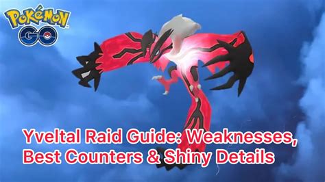 Yveltal Raid Guide Weaknesses Best Counters Shiny Details YouTube