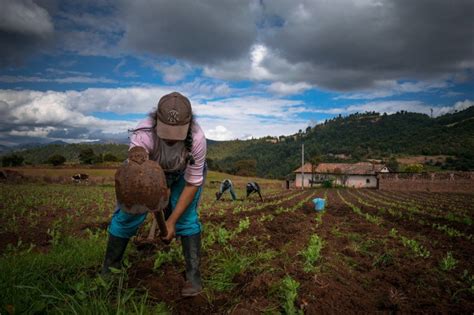 Regresa El Concurso De Fotografía Que Cuenta La Vida En El Campo