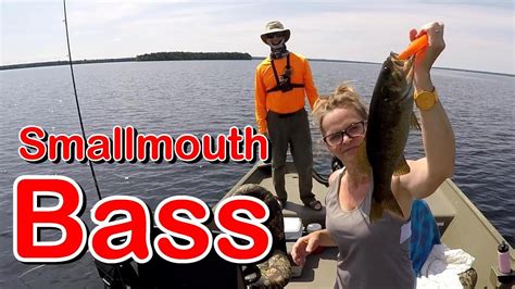 Smallmouth Bass Fishing Oromocto Lake New Brunswick Underwater Views