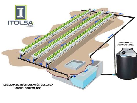 Cultivos HidropÓnicos Itolsa