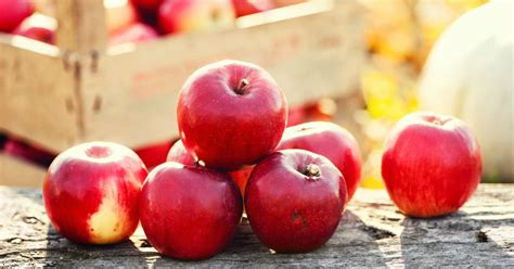 Appelboom Snoeien In Februari Dit Is Hoe Je Dat Het Beste Kan Doen