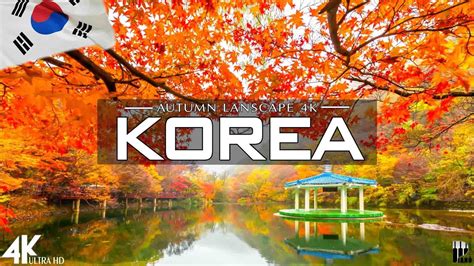 KOREA 4K Autumn Aerial Film Calming Piano Music Autumn Landscape