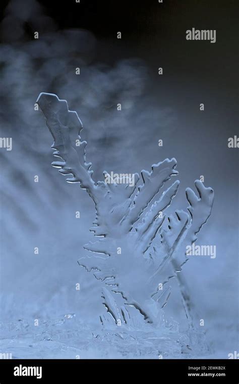 Ice crystal formations Stock Photo - Alamy