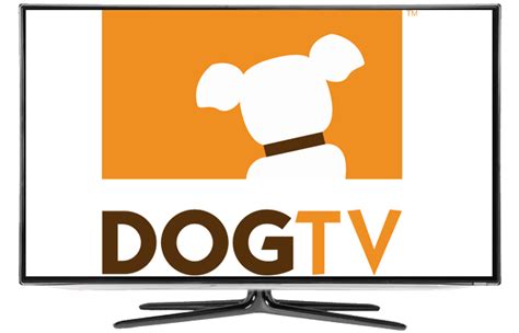 DOGTV Specialty Channel | DISH Network Channels