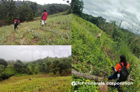 FCF Minerals boosts agroforestry projects