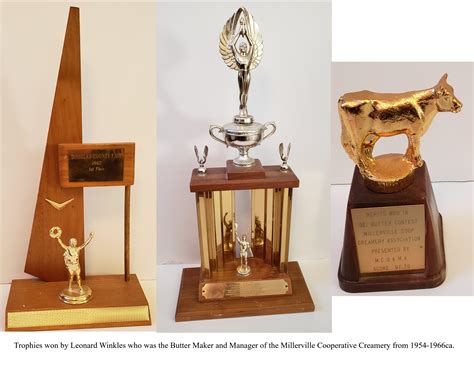 Brandon mn experiences a sudden boom in local small businesses 4