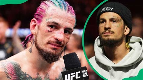 Sean OMalley Net Worth 2025: UFC Earnings, Endorsements,