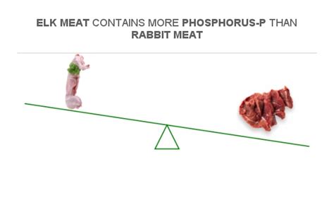 Compare Phosphorus In Rabbit Meat To Phosphorus In Elk Meat