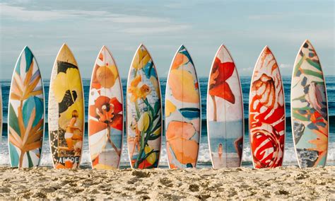 Best Beginner Surfboards The Complete Guide To Surfboards For Beginners